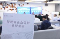 北京金融法院发布涉民营企业保护典型案例，助力企业依法合规经营