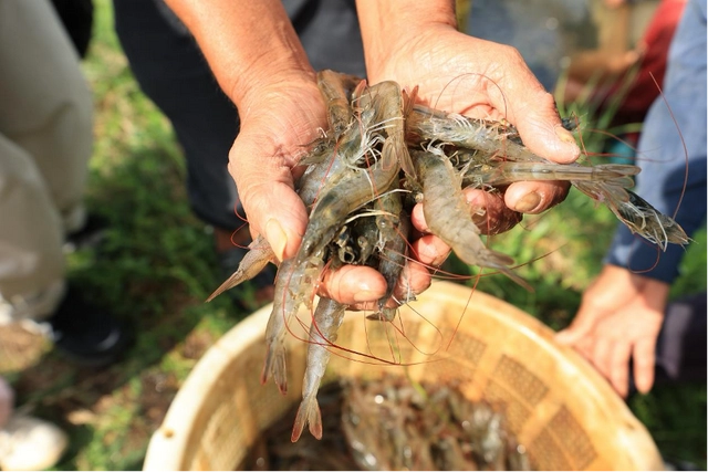 动态行业前沿视野APP下载_动态行业商业APP下载_行业动态